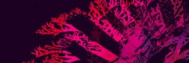 tribeqa1