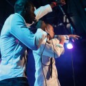 IMG_7454 IMG_7454