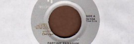 Ray Barretto - Pastime Paradise - La Cuna